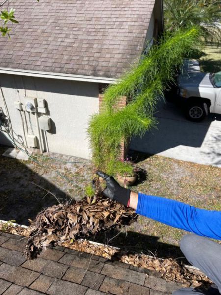 gutter cleaning tampa fl 1