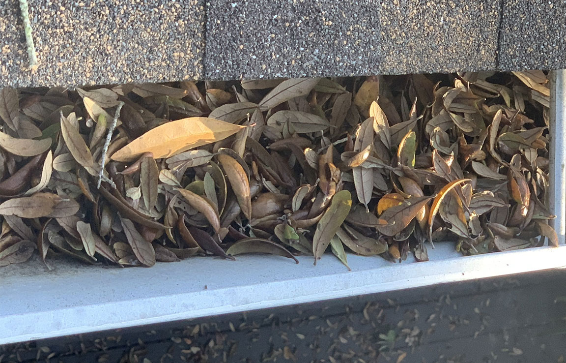 Gutter Cleaning Service Tampa FL 15