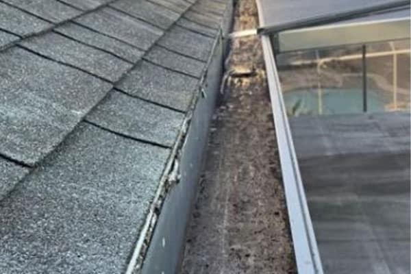Gutter Cleaning Tampa FL