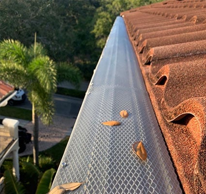 Gutter Cleaning Tampa