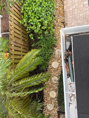 Gutter Cleaning And Debris Removal Service in Tampa FL